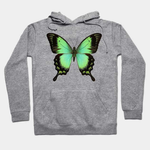 Green Butterfly Hoodie by Maison de Kitsch